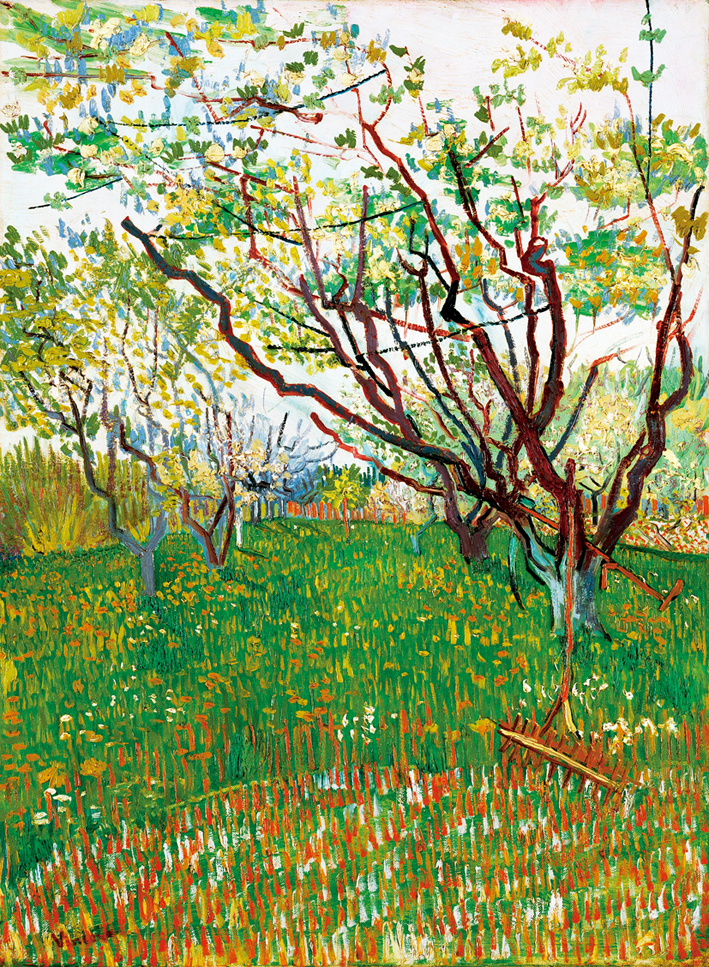  文森特·威廉·梵高  Vincent Willen Van Gogh —— 果园的花1888